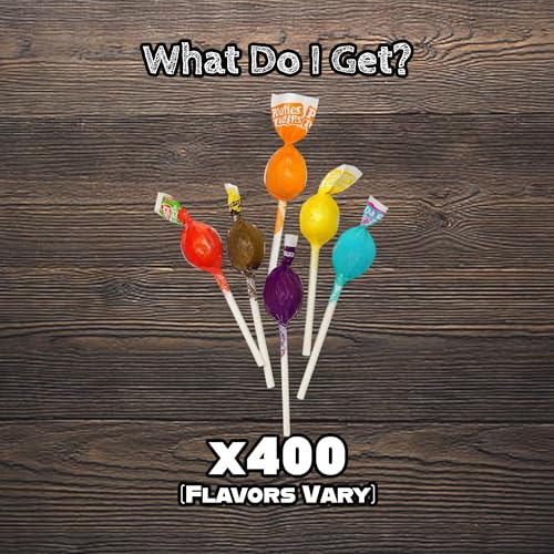Individually Wrapped Mini Lollipops - 400 Count Bulk Assortment of Fruity Suckers - Great for Parties, Candy Jars, Classroom Rewards, and Piñatas by