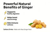 SaVana DrinKs Ginger Juice, 12 oz (15?Pack) - Natural Ginger Wellness Drink with Pineapple & Lemon for Immunity, Energy & Gut Support