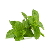 Pure Peppermint Oil Extract - TTB-Approved for Brewing - Water Soluble Mint Flavoring - PG Free - Non-GMO - Gluten Free - Vegan - 4 ounces