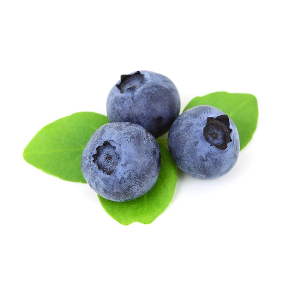 OliveNation Blueberry Emulsion for Baking, Add Flavor of Fresh Blueberries to Cakes, Cookies, Frosting, Non-GMO, Gluten Free, Kosher, Vegan - 16