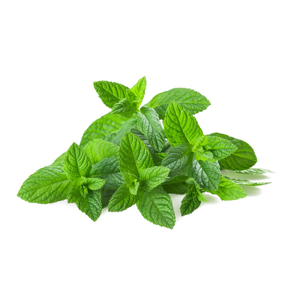 Peppermint Oil Extract - Beverages - Fillings - Frosting - Water Soluble - Non-GMO - Gluten Free - Kosher - Vegan - 16 ounces