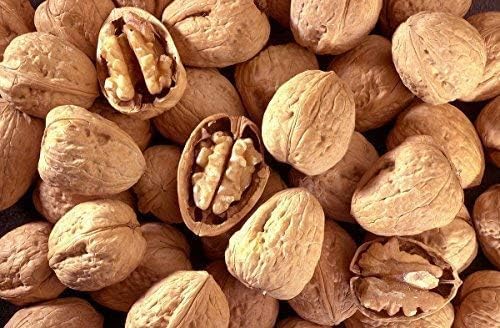 Walnuts In-shell (Whole) (2 LB)