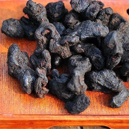 RHIZOMA POLYGONATI 16 OZ ???