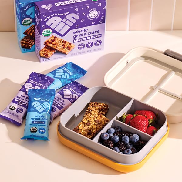 All In Snack Bars Allergen Friendly Variety Pack - S’Mores, Chocolate Chip, & Strawberry - Gluten Free - Organic - Non-GMO - Low Sugar - High Fiber