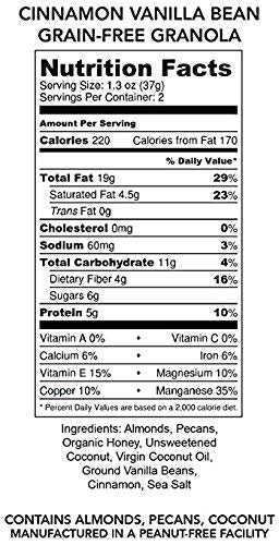 Julie's Real Grain Free Granola - Cinnamon Vanilla Bean - Gluten Free & Low Net Carb - Pack of 4