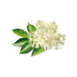OliveNation Elderflower Flavor Extract for Baking, Aromatic Floral Flavoring, Non-GMO, Gluten Free, Kosher, Vegan - 8 ounces