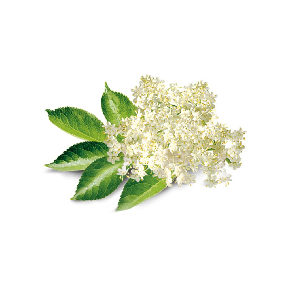 OliveNation Elderflower Flavor Extract for Baking, Aromatic Floral Flavoring, Non-GMO, Gluten Free, Kosher, Vegan - 8 ounces