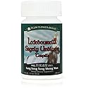 Fang Feng Tong Sheng (Ledebouriella Sagely Unblocks Teapills), 200 ct, Plum Flower