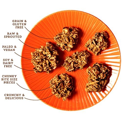 Lark Ellen Farm Berrylicious Granola Clusters: Raw, Organic, Vegan. Low Carb, Paleo. Gluten-Free Bites. Healthy Breakfast/Snack, 8 oz, 6 Pack