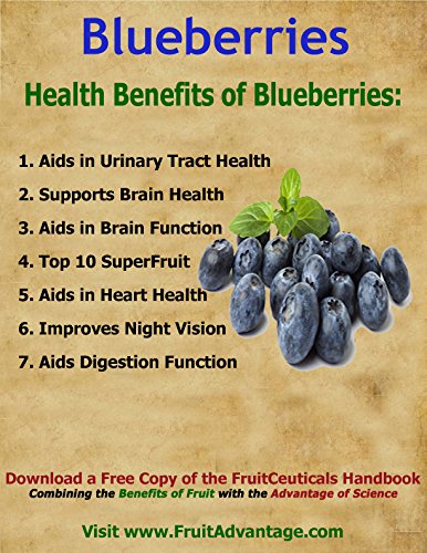 FruitCeuticals Organic Blueberry Powder Made with 100% Whole Fruit Wild Blueberries - 8oz Pouch (90 Day Supply)