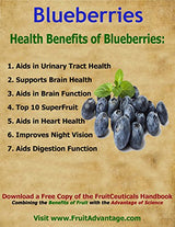FruitCeuticals Organic Blueberry Powder Made with 100% Whole Fruit Wild Blueberries - 8oz Pouch (90 Day Supply)