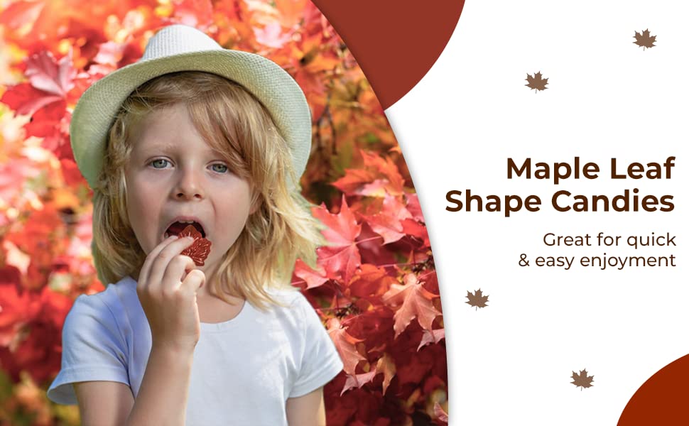 Turkey Hill Sugarbush 100% Pure Canadian Premium Maple Syrup Hard Candies Drops, Individually Wrapped Candy, 165 Units