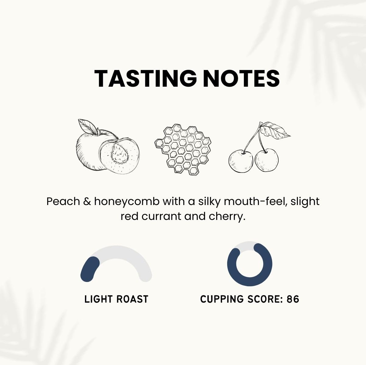 Canopy Point Coffee | Chiapas Mexico Light Roast | Peach & Honeycomb Notes | Arabica Single Origin | Specialty Blonde Roast | Air Roasted (Whole Bean