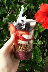 Cravings Daily Granola Variety- 3 Pack- Michigan Cherry & Roasted Nuts, Cranberry, Orange & Roasted Nut and Blueberry, Cherry, Cranberry & Pumpkin