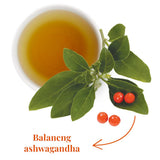 The Republic of Tea - Clarity and Calm SuperAdapt Herbal Tea, 36 Tea Bags, Organic, Caffeine Free, Ashwagandha