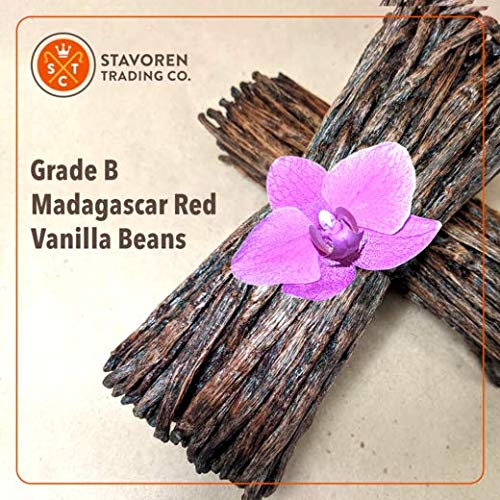 Stavoren Trading Co. - Grade B Madagascar Red Vanilla Beans - 1 Pound - 5-8 inches long - For Cooking, Baking, Homemade Extract and Paste - Freshly