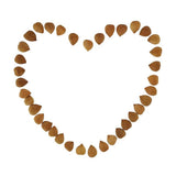 Natural Raw Bitter Apricot Kernels 16oz, Organic USDA Certified Bitter Apricot Seeds 1LB