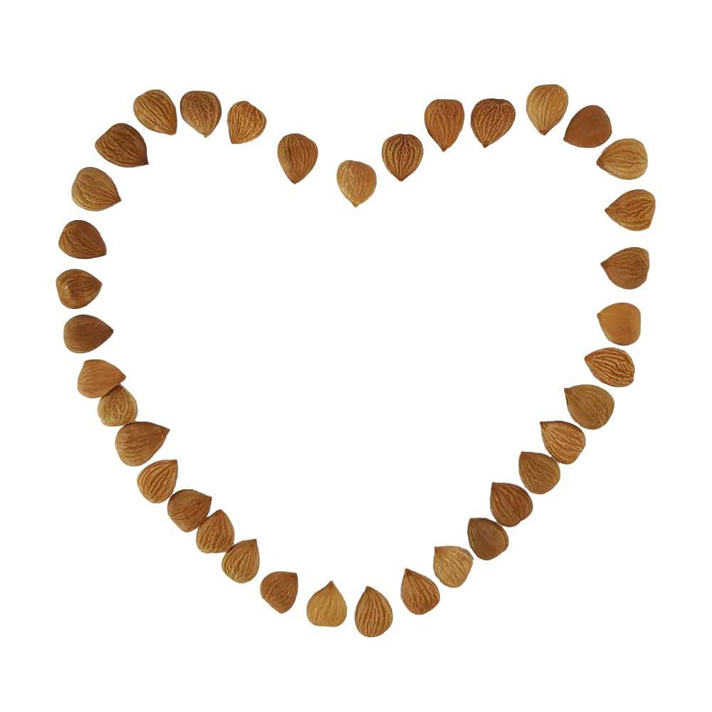 Natural Raw Bitter Apricot Kernels 16oz, Organic USDA Certified Bitter Apricot Seeds 1LB