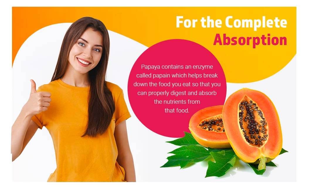 Papaya Fruit Extract Powder 1lb, Digestive Super Food for Skin (16 Ounces(1 Pack))