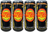2 Set- Big Bamboo Jamaican Irish Moss Vanilla Drink 9.8 OZ 4PK