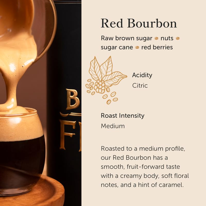 Bean of Fire El Salvador Red Bourbon Honey Ground Coffee - Medium Roast, Single Origin Specialty, Smooth & Fruity Cup (16 oz)