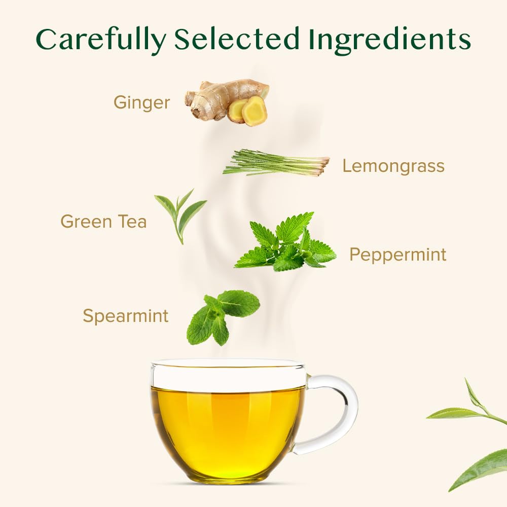 VAHDAM, Ginger Mint Green Tea Bags (100 Count) High Grown Green Tea with Raw Ginger | Medium Caffeine | Non GMO, Gluten Free | Mint Tea Bags |