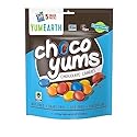 YumEarth Choco Yums, 5-0.7 Ounce Snack Packs, Allergy Friendly, Gluten Free, Non-GMO, Vegan, No Artificial Flavors or Dyes (3.5 Ounce (Pack of 1))