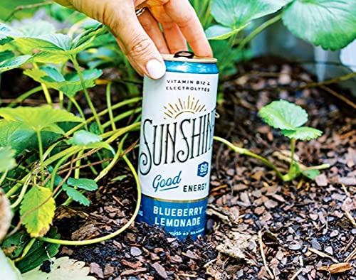 Sunshine Beverages, LLC Good Energy Drink, Blueberry Lemonade, 12 Fl Oz
