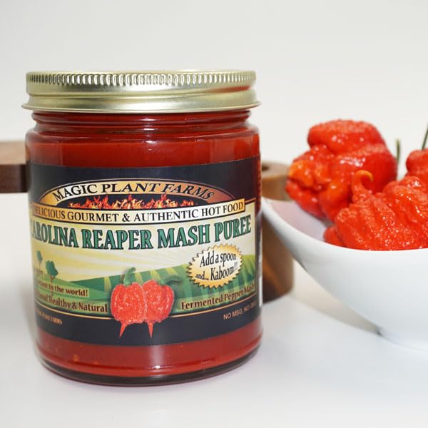 Magic Plant Red Carolina Reaper Pepper Mash, 9 Oz Jar - 1.5M to 2M (SHUs) Hottest Fermented Reaper Mash for Cooking, Maranades, Hot Sauce and More