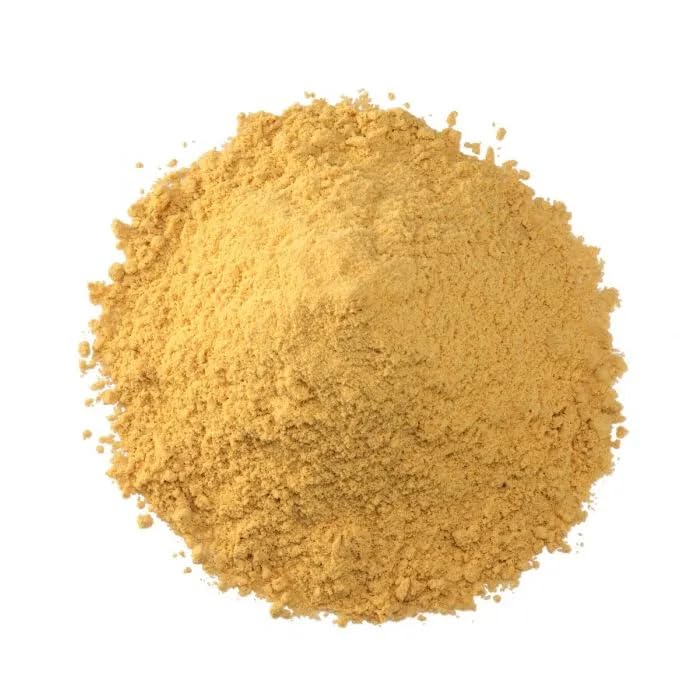 Essential Spice Ground Ginger, 2.5 oz Tin - Warm, Zesty & Aromatic Spice - Finely Ground for Baking, Curries, Marinades, and Global Recipes - Pure