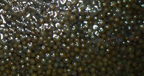 Water Softener Repair Resin Restorer and Cleaner