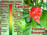 Trinidad Scorpion Pepper Butch T Mash by Magic Plant - Lava Hot Scorpion Chili, 1.2M - 2M SHUs - Fruity Tangy Flavor, Make Hot Sauce, Hot Honey, Spicy