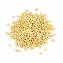 Organic Millet Seed, 10 lb - Whole Gluten Free Hulled Millet Grain Bulk by Woodland Gourmet