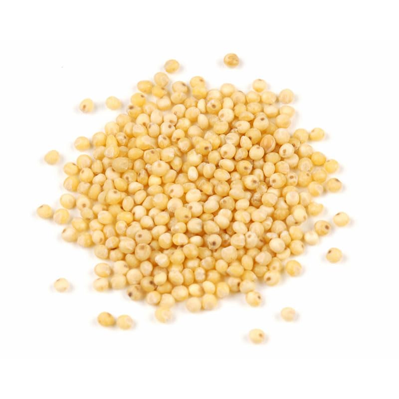 Organic Millet Seed, 10 lb - Whole Gluten Free Hulled Millet Grain Bulk by Woodland Gourmet