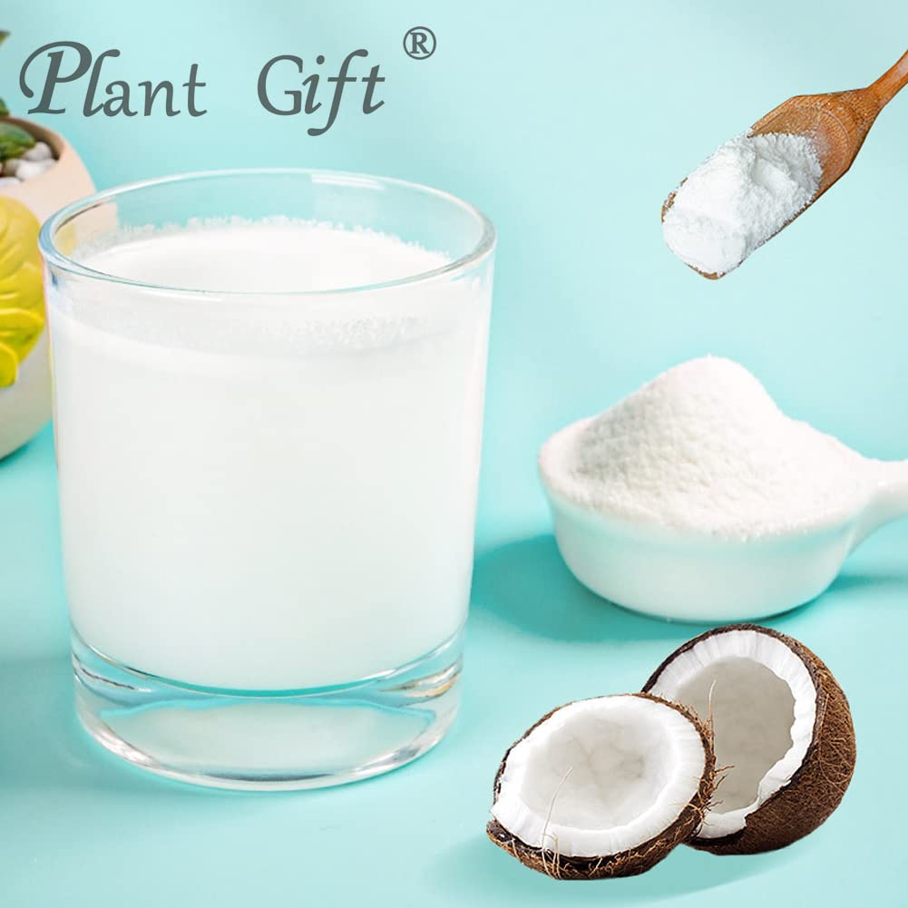 Plant Gift 100% Pure Coconut Powder ??? Natural Powder, Great Flavor for Drinks, Smoothie, Yogurt, Baking, cookies, cakes and Beverages, Non-GMO
