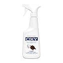 Kirby 12oz Spot Remover W/Oxy