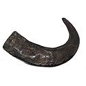 peaksNpaws Premium Free Range & Grass Fed Buffalo Horns - Small