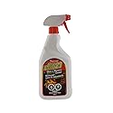 650mL 2 in 1 Glass and Masonry Spray Cleaner