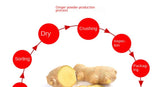 Zercumm Raw Ginger Powder 500G Bottle Mature Ginger Ginger Powder Dry Ginger Powder