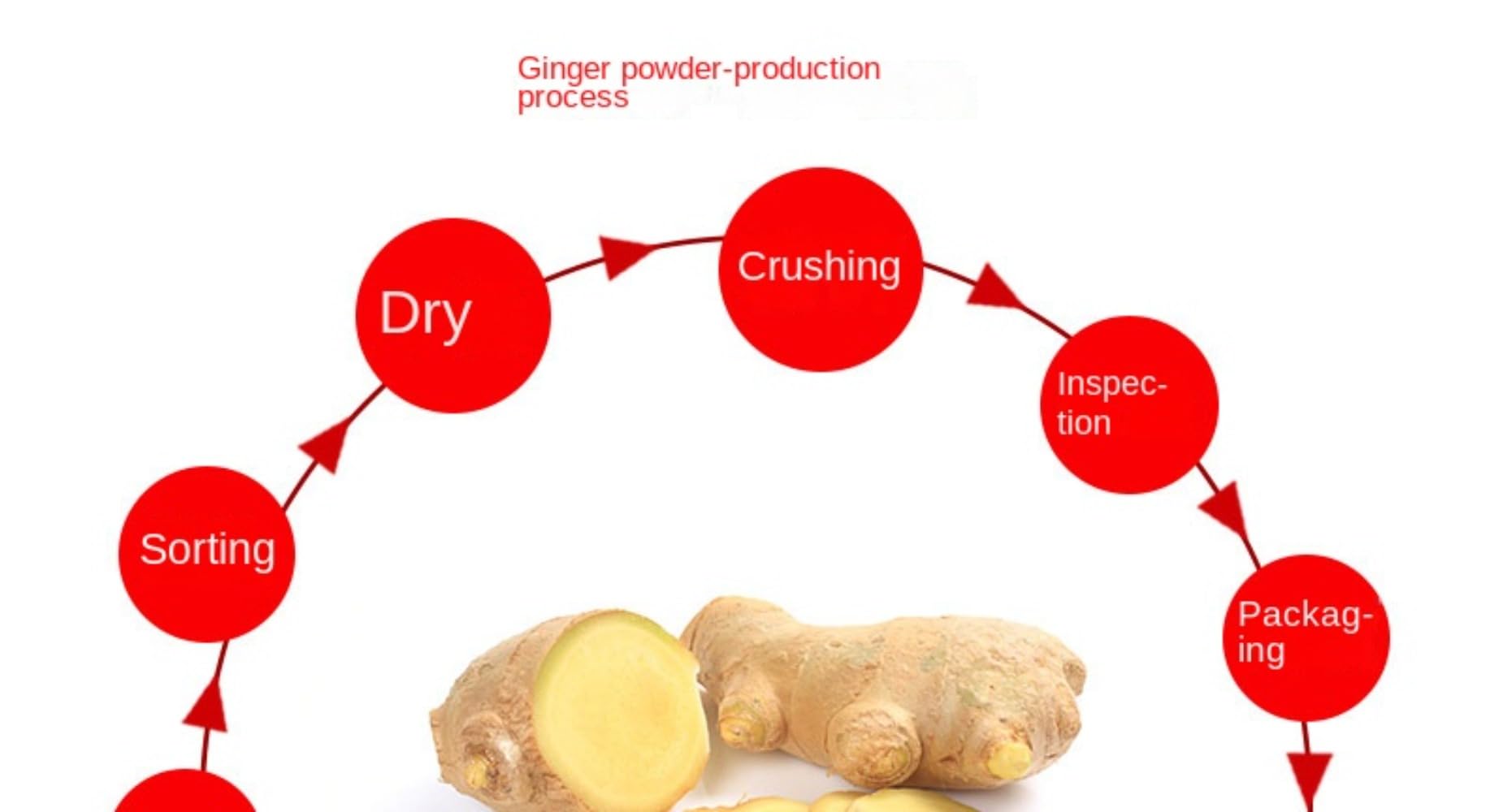 Zercumm Raw Ginger Powder 500G Bottle Mature Ginger Ginger Powder Dry Ginger Powder
