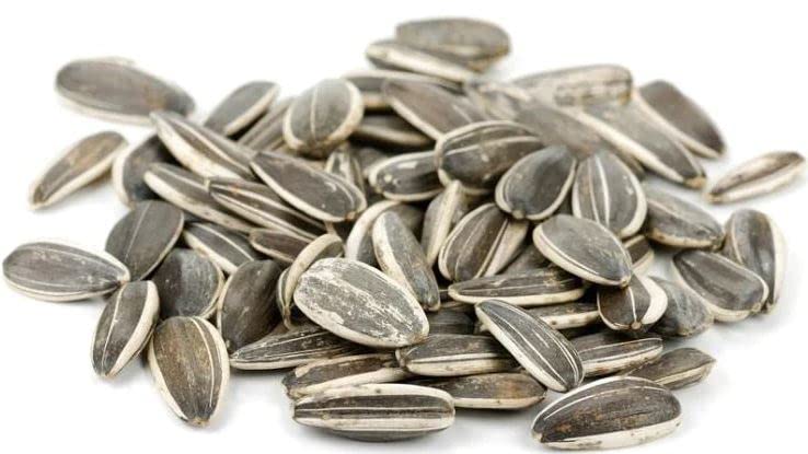 4LB Raw Whole Sunflower Seed in Shell by Nuts to You | Essential Vitamins & Minerals | Healthy Superfood Snack Vegan, Keto, Kosher, Non GMO, Gluten