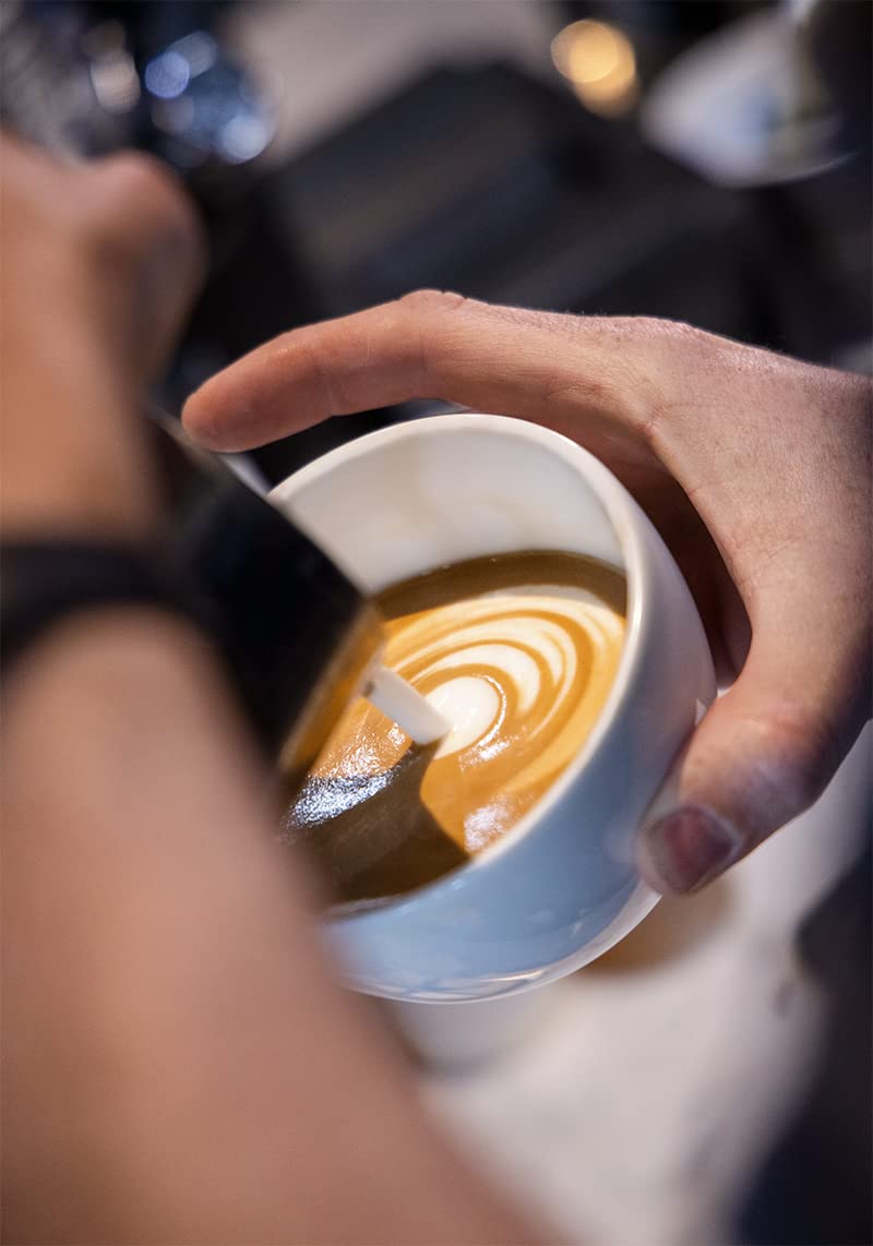 Buddy Brew Coffee, Medium/Dark Roast Whole Bean Coffee -Espresso - 5lb Bag Double Dog Espresso - El Salvador - Specialty Grade Coffee - with notes