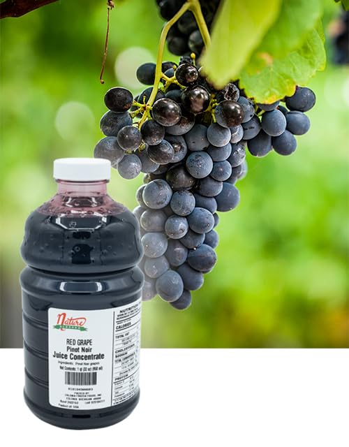 Nature Blessed 100% Pure Pinot Noir Red Grape Fruit Juice Concentrate - 1 Quart (1/32 fl oz bottle), Ideal for Home Vintners and Brewers, Wine