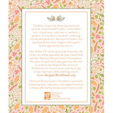 Jane's Garden Green Tea - 20 Sachets
