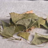 Zercumm Ginkgo Leaf 500G Folium Ginkgo Bilobae