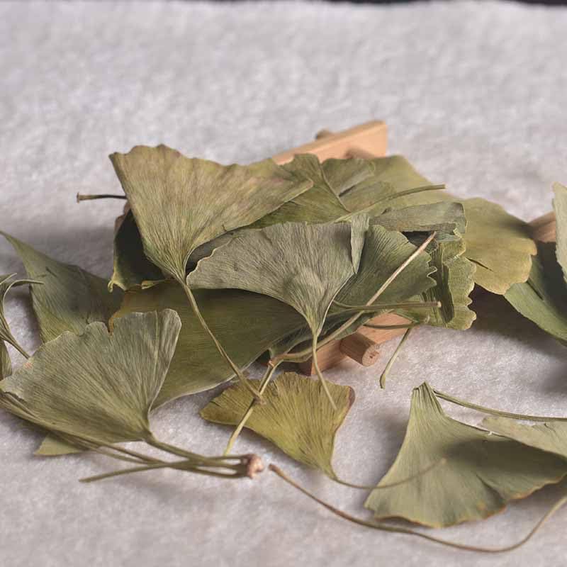 Zercumm Ginkgo Leaf 500G Folium Ginkgo Bilobae