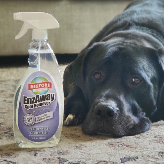Restore Naturals Enzaway Stain Remover Spray - 22oz - Spot Cleaner for Clothes, Arm Pit Spot Remover for Clothes, Armpit Sweat Stain Remover - 1