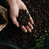 Arvid Norquist Classic Coffee, Mellanrost (Medium Roast), 17.6-Ounce Packages (Pack of 2)