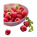 Fresh Frozen Organic Heirloom Raspberries by Northwest Wild Foods - Healthy Antioxidant Fruit Diet - for Smoothies, Pies, Jams, Syrups (9 Pounds)