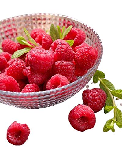 Fresh Frozen Organic Heirloom Raspberries by Northwest Wild Foods - Healthy Antioxidant Fruit Diet - for Smoothies, Pies, Jams, Syrups (9 Pounds)